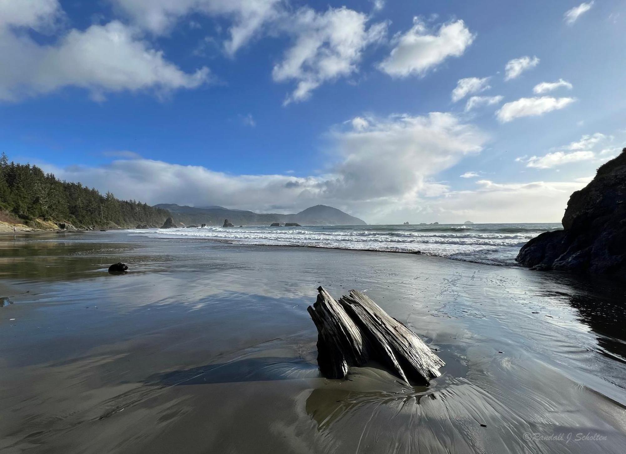 The Cove At Port Orford - 5 Ocean Front Suites Exterior photo
